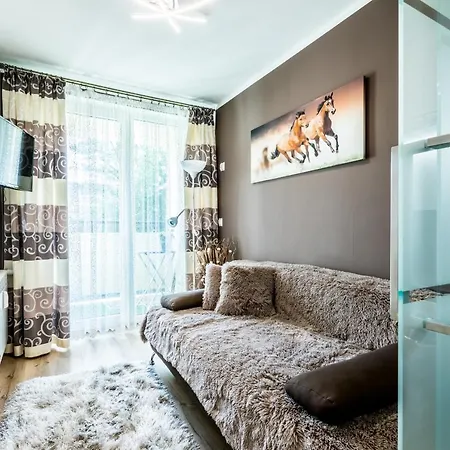 Apartament Widokowy Centrum Apartment *