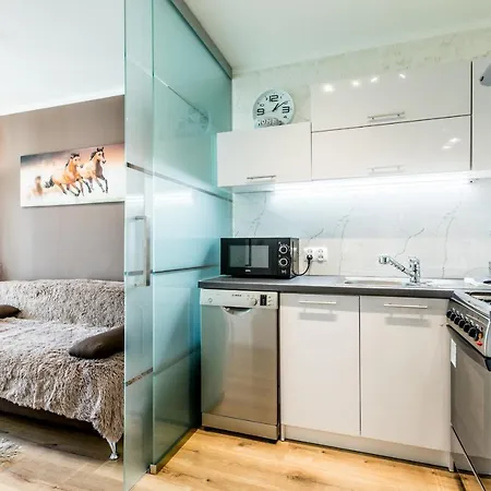 Apartament Widokowy Centrum Apartment Zakopane